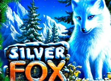 Silver Fox